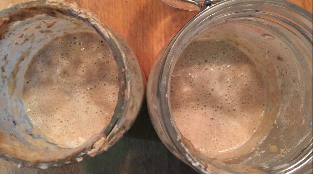 Sourdough Starter 2